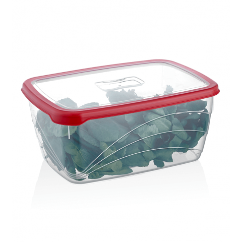 Container 4600ml Qlux