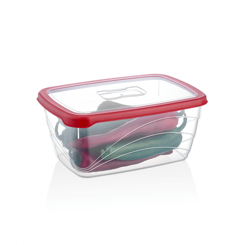 Container 2800ml Qlux