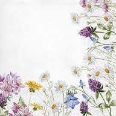  Салфетки бумажные трехслойные Tete-a-tete 20 шт 33x33cm