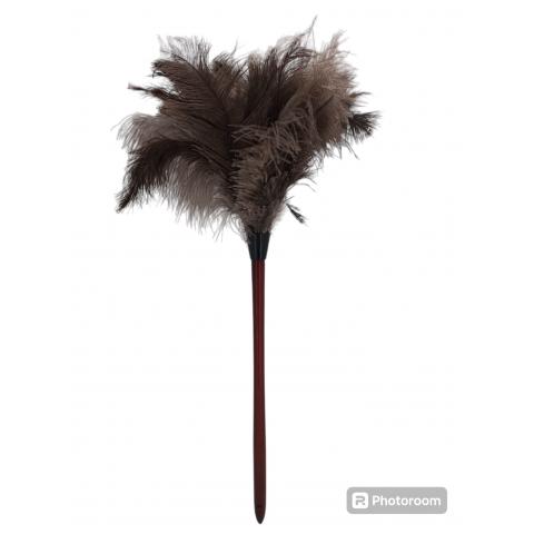 Щетка из перья