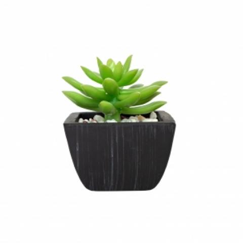 Цветы искуственные SEDUM Adolf в горшке 10х12см