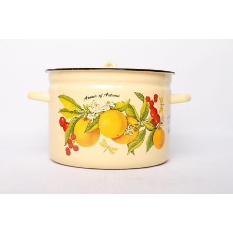 Кастрюля ФРУКТОВАЯ ФАНТАЗИЯ 7л с крышкой